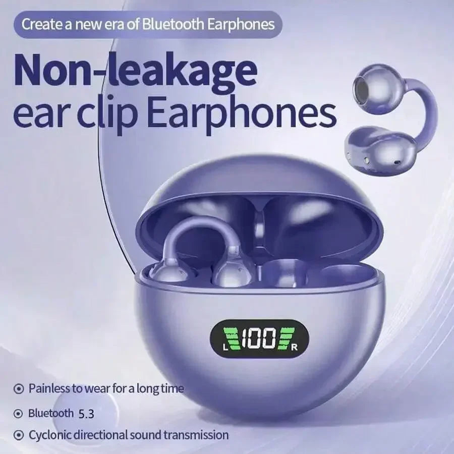 TWS Wireless Earbuds Bluetooth 5.3 Digital Display